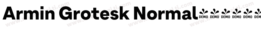 Armin Grotesk Normal字体转换